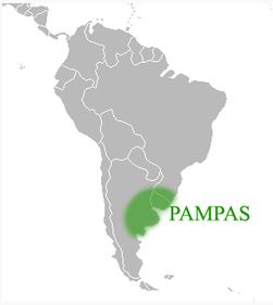 Las Pampas Argentinas